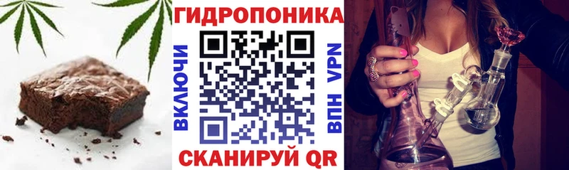 магазин Шатура Cannafood конопля