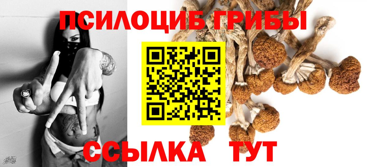Псилоцибиновые грибы Psilocybine cubensis  Псилоцибиновые грибы мухоморы  Шатура  Вход с VPN 